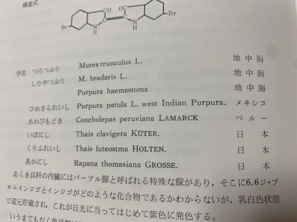 帝王紫（貝紫）③